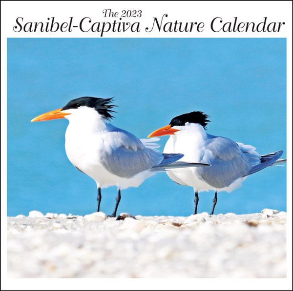 San-Cap Nature Calendar for sale | News, Sports, Jobs - SANIBEL-CAPTIVA - Island Reporter, Islander and Current - Vimarsana News